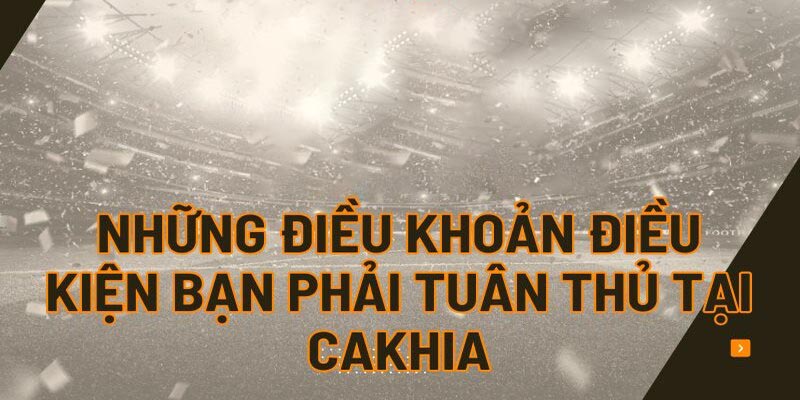 Khái niệm điều khoản điều kiện Cakhiatv