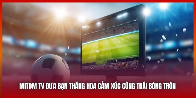 Mitom TV Đưa Bạn Thăng Hoa Cảm Xúc Cùng Trái Bóng Tròn 2025