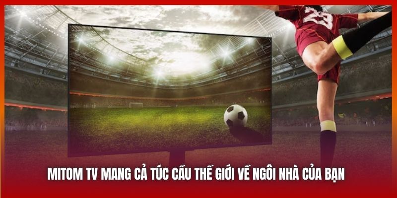 Mitom TV mang cả túc cầu thế giới về ngôi nhà của bạn 