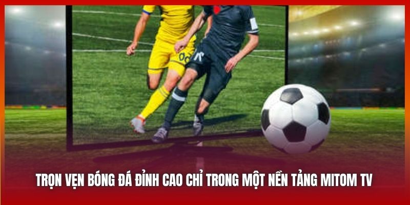 Trọn vẹn bóng đá đỉnh cao chỉ trong một nền tảng Mitom TV